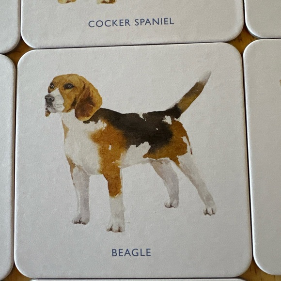Laurence King Dog Coasters. Set of 16. New in Box - Picture 9 of 12